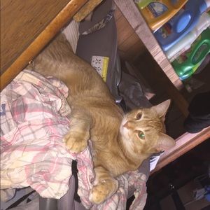 Meet your Posher, Mimi